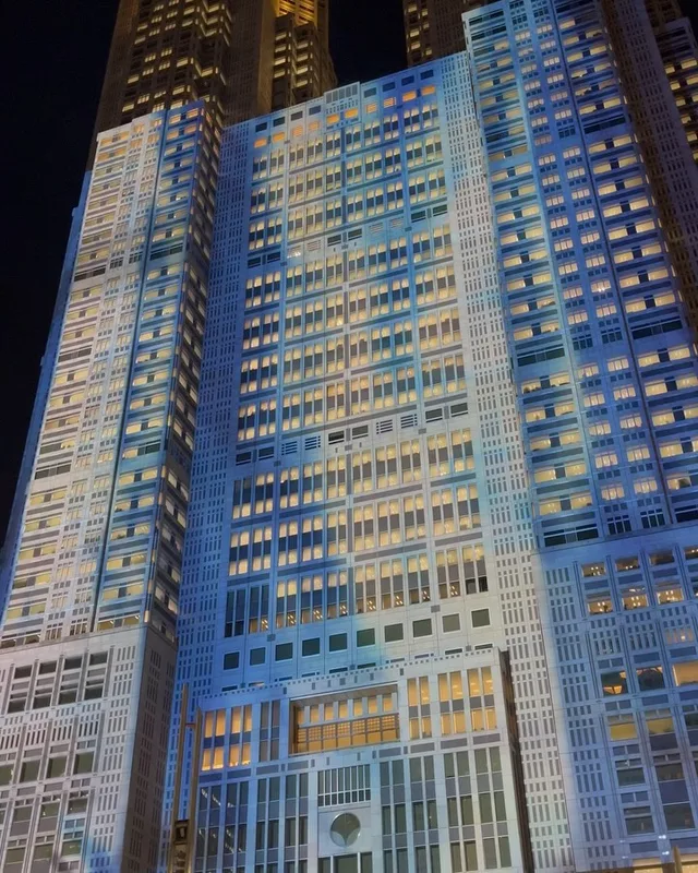 Night & Light #tokyo #tokyonight #tokyocity #tokyometro #tokyometropolitangovernmentbuilding #tokyolights #lightshow #li