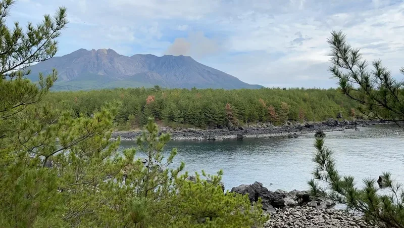 Sakurajima today #volcano #activevolcano #sakurajima #lavatrail #kagoshima #kyushu #japantrip