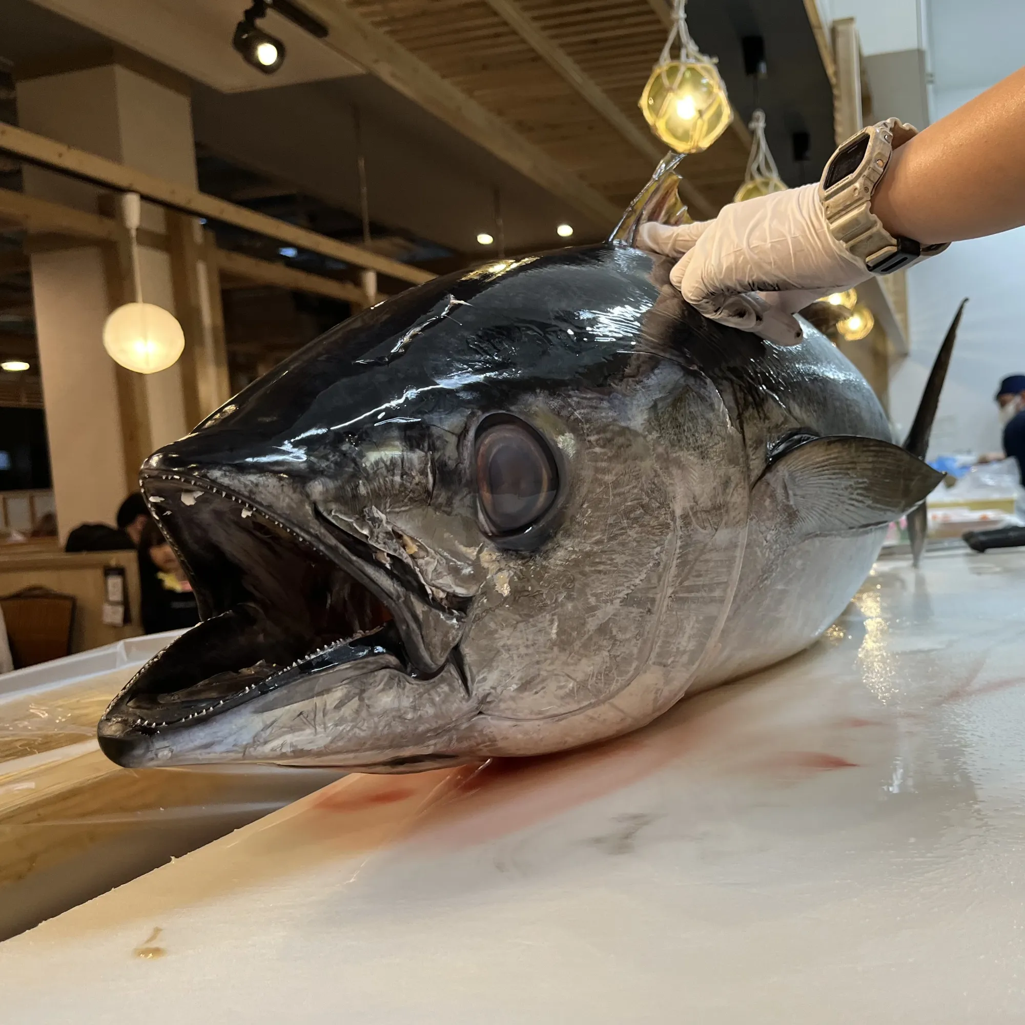 Oběd na farmářském a rybím trhu